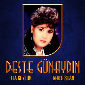 Listen to Nerde Sılam song with lyrics from Deste Günaydin