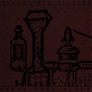 ดาวน์โหลดและฟังเพลง Little Sadie พร้อมเนื้อเพลงจาก Black Twig Pickers