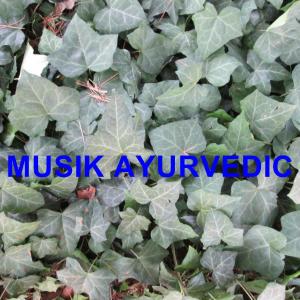 Dengarkan Musik Ayurvedic lagu dari Roberto Panduan dengan lirik