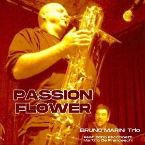 Bobo Facchinetti的專輯Passion flower (feat. Bobo Facchinetti & Martino De Franceschi)