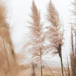 Listen to Across the Ocean song with lyrics from Meditation Rain Sounds