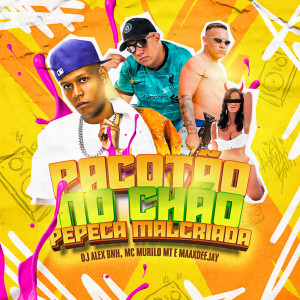 Listen to Pacotão no Chão - Pepeca Mal Criada (Explicit) song with lyrics from Dj Alex BNH