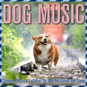 Album Dog Music: Calming Classical Lullabies for Dog Relaxation and Sleep oleh Relax My Puppy