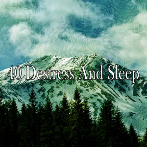 收聽Best Relaxing Spa Music的Duvet Bliss歌詞歌曲