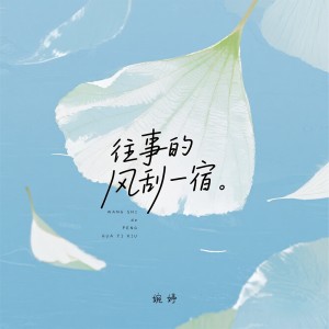 婉婷的专辑往事的风刮一宿
