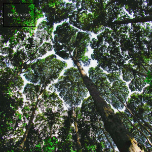 Listen to Open Arms song with lyrics from Zaro