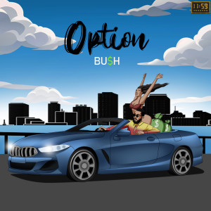 Album Option (Explicit) from Bu$h