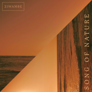 Dengarkan lagu Song Of Nature nyanyian Ziwambe dengan lirik