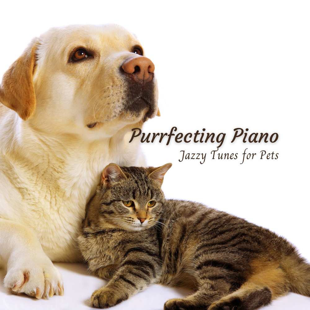 Musical Menagerie