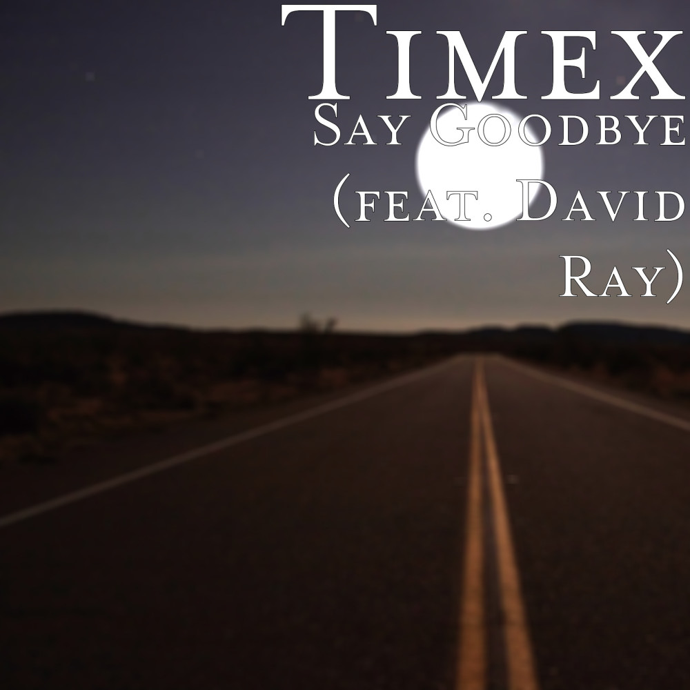 Say Goodbye (feat. David Ray) (其他)