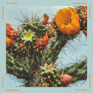Listen to Pity Party song with lyrics from Gamma Skies