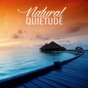 收聽Nature Sounds 2015的Small River歌詞歌曲