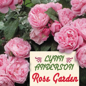 收聽Lynn Anderson的You’re My Man歌詞歌曲