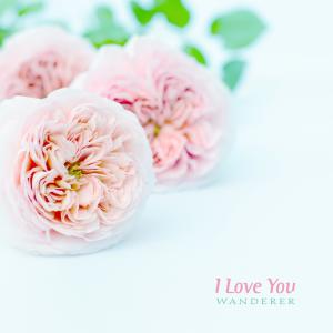 Listen to I Love You song with lyrics from Wanderer