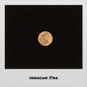 Album Unknown Star from Various