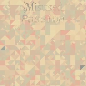 Various Artists的專輯Misused Passion