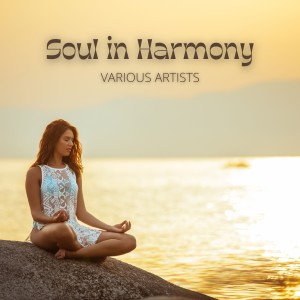 Listen to Rain 11 (Rain Sound) song with lyrics from Relaxing Music