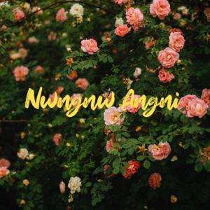 Dengarkan lagu Nwngnw Angni (feat. DAZZLING) nyanyian Didwm Daimari dengan lirik