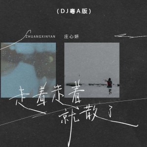 Album 走着走着就散了(DJ粤A版) from Ada (庄心妍)