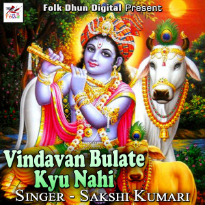 Listen to Vindavan Bulate Kyu Nahi song with lyrics from Sakshi Kumari