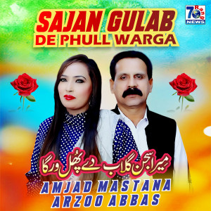 Listen to Sajan Gulab De Phull Warga song with lyrics from Amjad Mastana