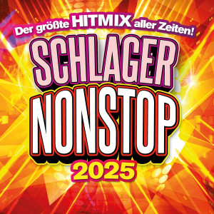 收聽Ilka Groenewold的Elektrisiert歌詞歌曲