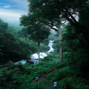 Listen to Nature song with lyrics from Debopriyo