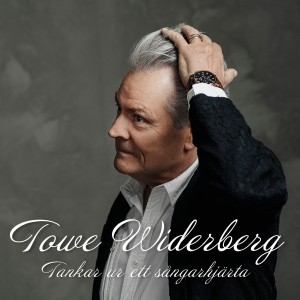 ดาวน์โหลดและฟังเพลง Då var jag bara 17 år พร้อมเนื้อเพลงจาก Towe Widerberg