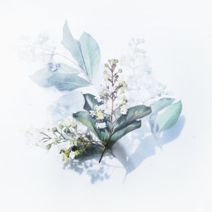 Listen to Dreamcatcher song with lyrics from Lo-Fi Luke