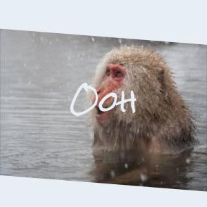 Dengarkan Their Peeper lagu dari Maric Delin dengan lirik