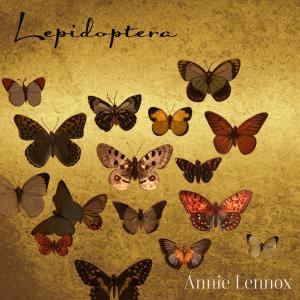 收聽Annie Lennox的Papilio Machaon歌詞歌曲