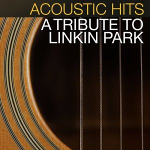 Acoustic Hits: A Tribute to Nickelback