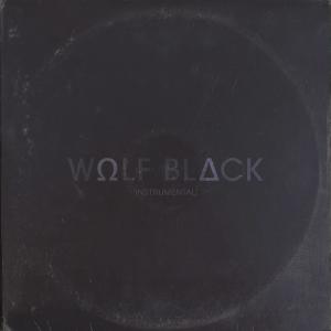 ดาวน์โหลดและฟังเพลง Wildfire (Instrumental) พร้อมเนื้อเพลงจาก Wulf Black