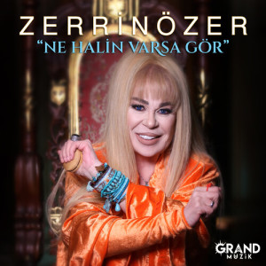 Zerrin Özer的专辑Ne Halin Varsa Gör