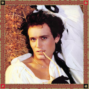 ดาวน์โหลดและฟังเพลง Strip (Single Version) พร้อมเนื้อเพลงจาก Adam Ant