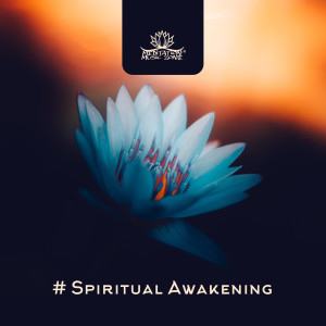 ดาวน์โหลดและฟังเพลง The Purity พร้อมเนื้อเพลงจาก Meditation Music Zone
