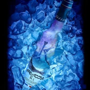 Dengarkan lagu Grey Goose nyanyian M.l dengan lirik