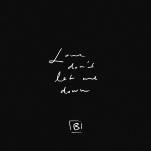 Listen to Love Don't Let Me Down (Remix) song with lyrics from Bishara
