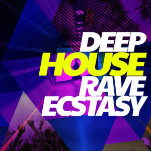 ดาวน์โหลดและฟังเพลง Never พร้อมเนื้อเพลงจาก Deep House Rave