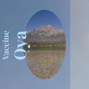 Various的专辑Vaccine Oya