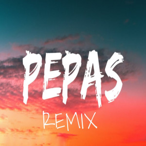 Dengarkan lagu Pepas (Remix) nyanyian GDOLPH RABODAY dengan lirik