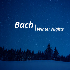 Johann Sebastian Bach的專輯Bach - Winter Nights