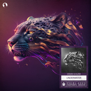 Dengarkan Underwater (Extended Mix) lagu dari VOWED dengan lirik