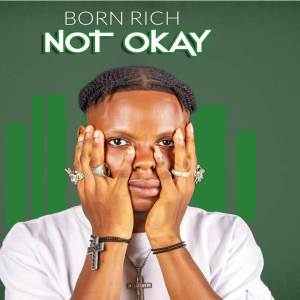 ดาวน์โหลดและฟังเพลง Not Okay พร้อมเนื้อเพลงจาก Born Rich