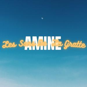 Les Sons De La Gratte dari Amine