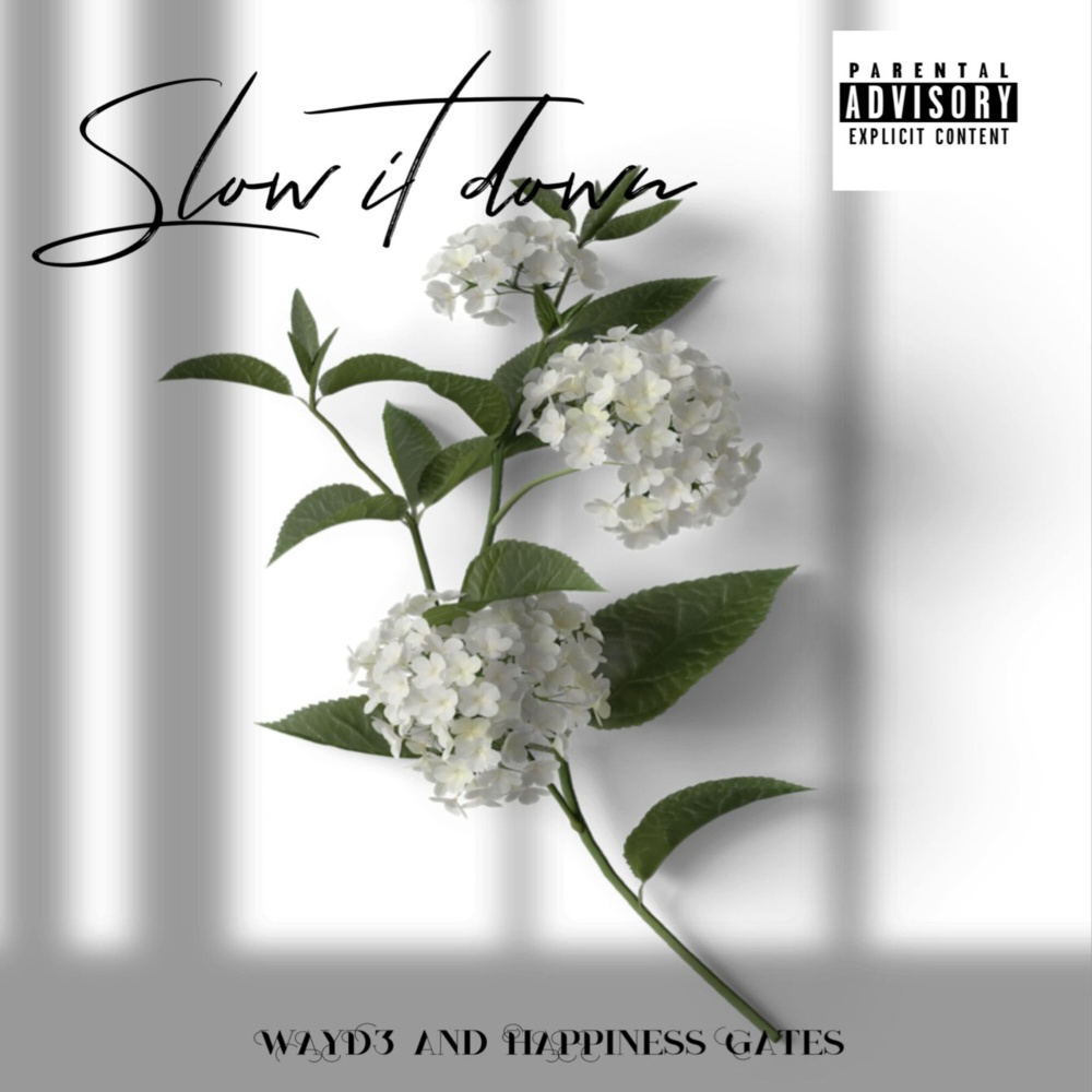Slow It Down (Explicit)