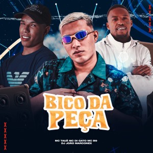 ดาวน์โหลดและฟังเพลง Bico Da Peça (Explicit) พร้อมเนื้อเพลงจาก DJ João Marconex