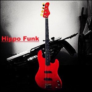 ดาวน์โหลดและฟังเพลง Hippo Funk พร้อมเนื้อเพลงจาก Mr. Ooze
