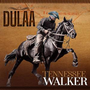 ดาวน์โหลดและฟังเพลง TENNESSEE WALKER พร้อมเนื้อเพลงจาก Dulaa