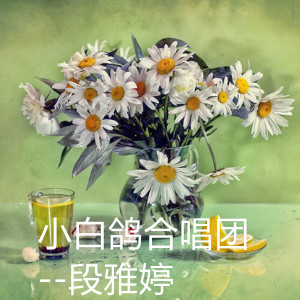 Listen to 艾窝窝 song with lyrics from 段雅婷